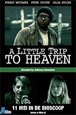 Cover van Little Trip to Heaven, A